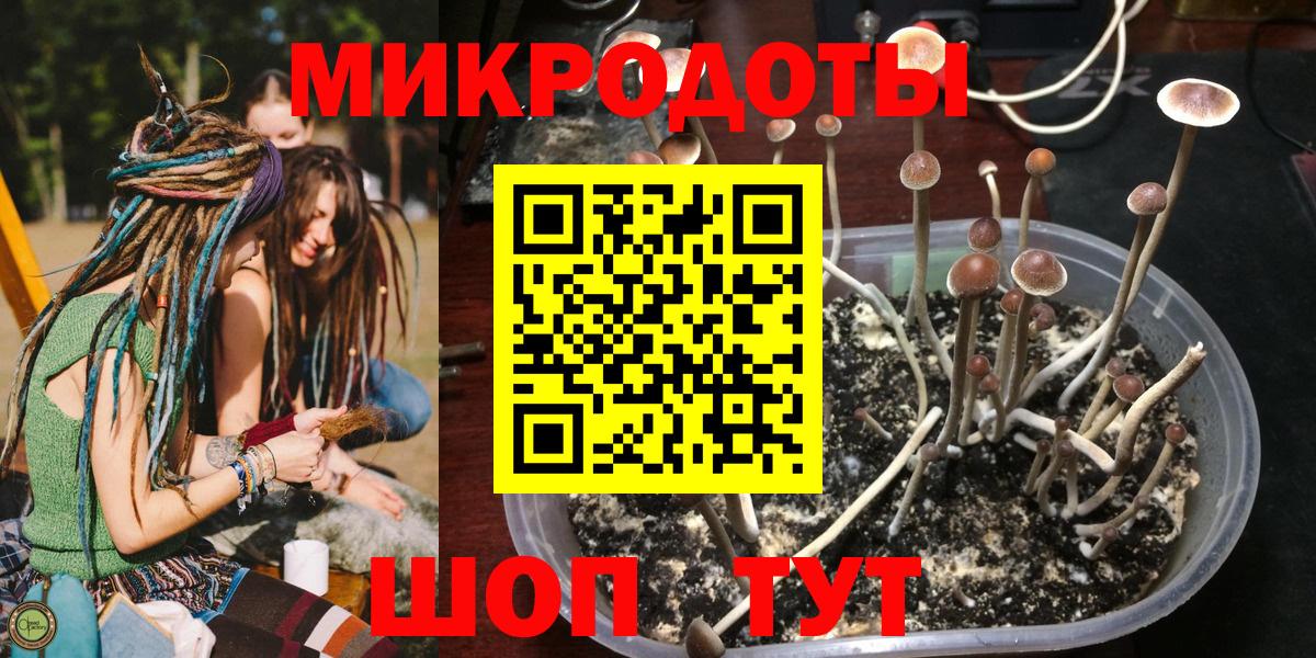 Псилоцибиновые грибы прущие грибы  Вход с VPN  Саяногорск 
